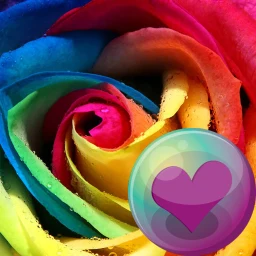 Beautiful Roses HD Wallpapers 图标